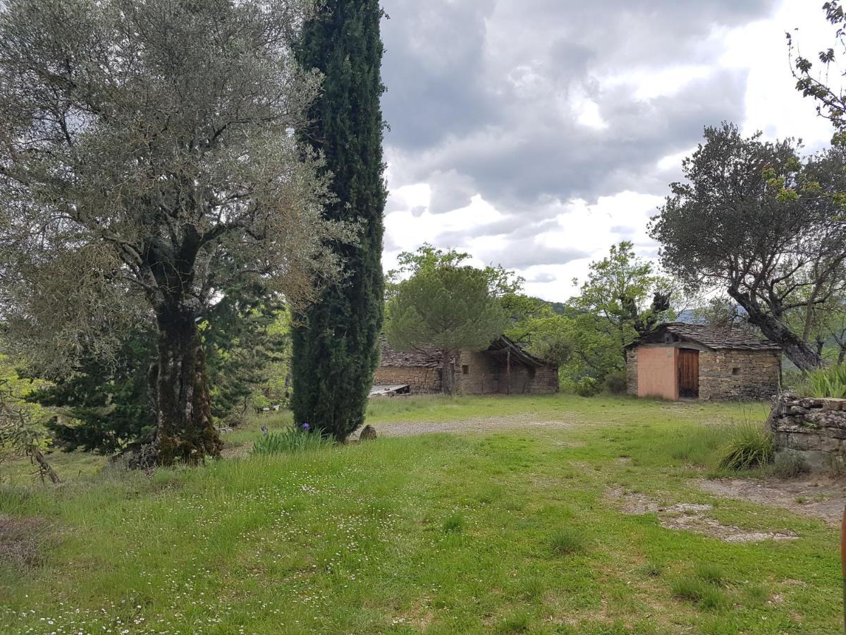 فيلا Casa Martin Guaso المظهر الخارجي الصورة